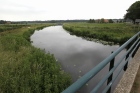 Deventer | Waterschap in actie tegen gravende honden