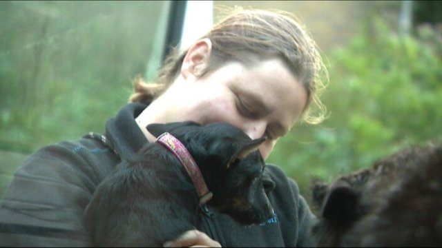 Hondenuitlaatster weer met honden in de auto