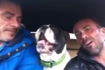 Hond zingt uit volle borst mee (video)