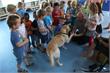 Zaanstreek | OBS de Zoeker haalt geld op voor geleidehonden