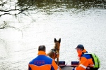 Speurhonden slaan aan in zoektocht Noor