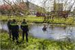 Waterweg | Man springt in water op vlucht voor honden