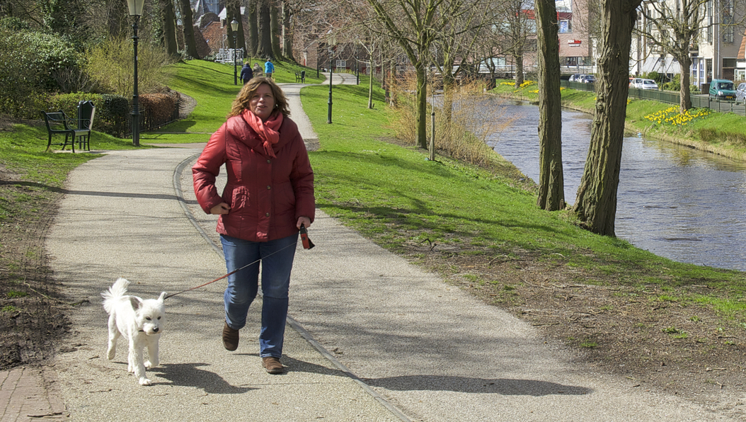 Hondenbezitters weer meer kwijt aan belastingen