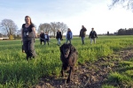 Iedereen zoekt in Lieren naar vermiste hond Senis