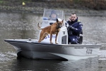 Politiehond jaagt inbreker in Waalwijk het water in